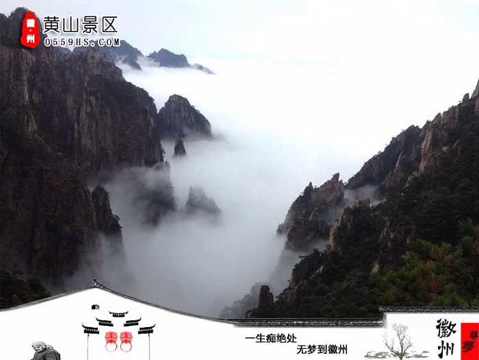 南京到黄山旅游团-黄山云海