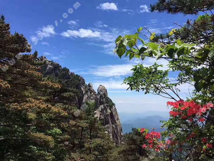 黄山一日游旅游线路