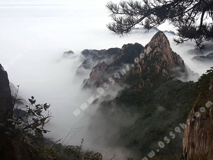 黄山一日游