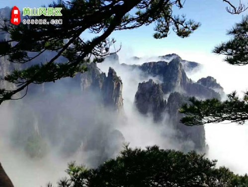 高铁绍兴到黄山旅游团的黄山三日游报价