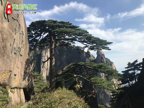 泉州到黄山三日游报价之黄山旅游团跟团游