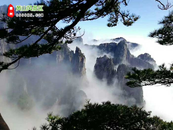 绍兴到黄山旅游团三日游景点：黄山风景区