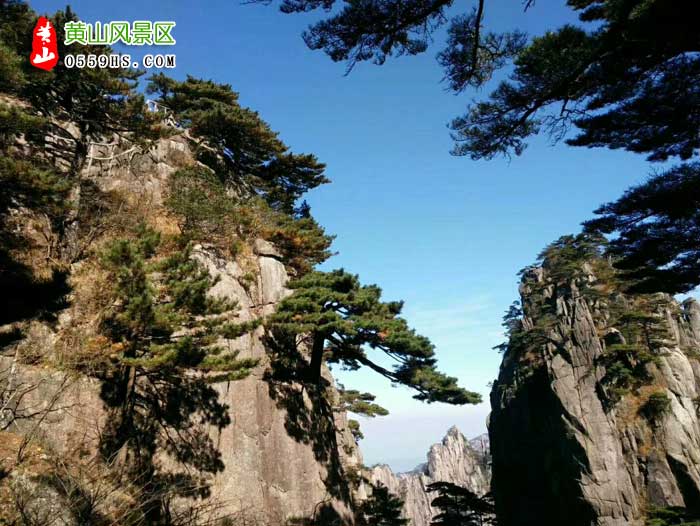 廊坊到黄山旅游团景点：黄山风景区