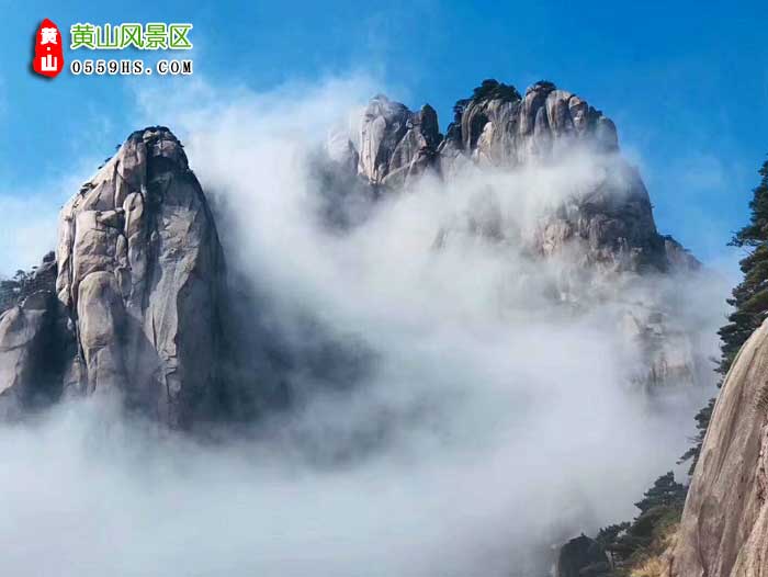 漯河到黄山旅行团景点：黄山云海