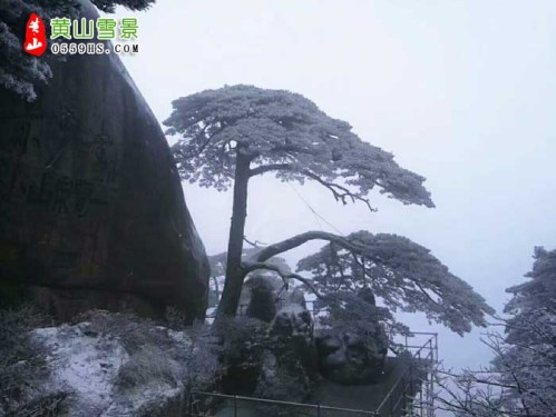 长沙到黄山三日游的高铁黄山旅游团报价