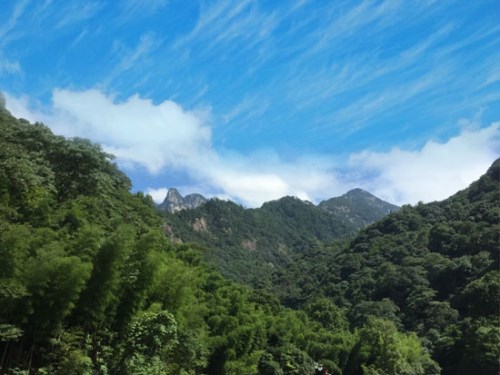 牯牛降风景区风景图一