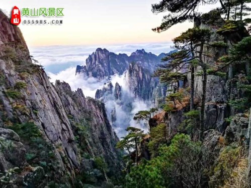 高铁蚌埠到黄山三日游价格_黄山旅行团路线