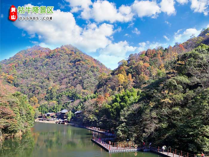 蚌埠到黄山旅游团景点：牯牛降风景区