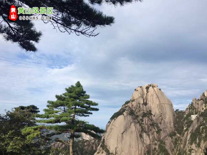 金华到黄山旅游团景点：黄山风景区