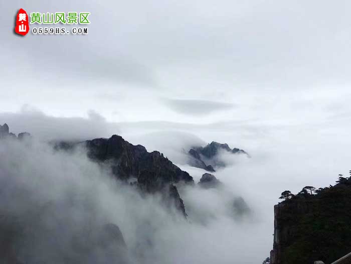 金华到黄山旅游团景点：黄山云海