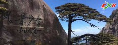 黄山区
