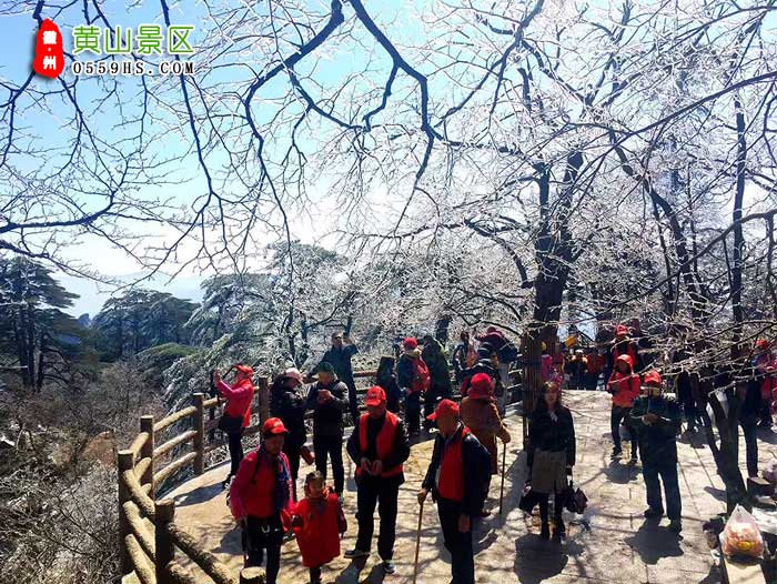 黄山旅游团三日游景点：黄山图二