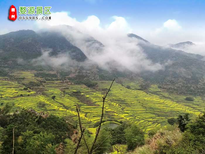 黄山旅游团三日游景点：婺源