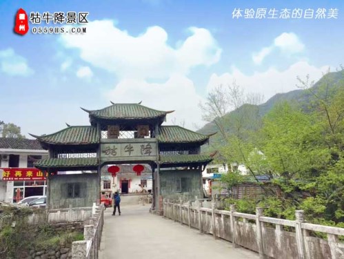 梦幻牯牛降一日游当地跟团游线路