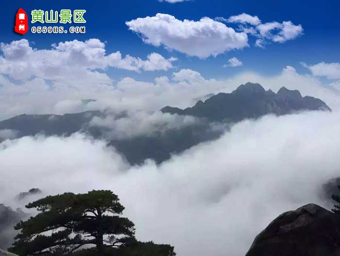 苏州到黄山三日游景点：黄山风景区