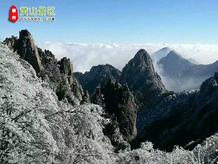 巢湖到黄山三日游景点：黄山风景区