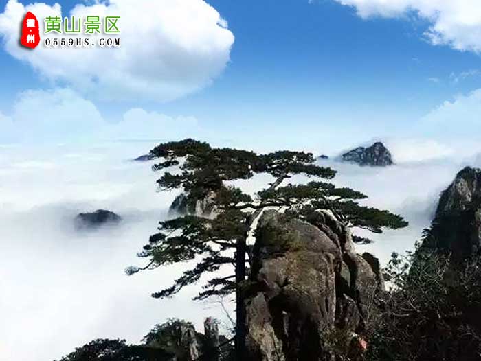 巢湖到黄山三日游景点：黄山风景区