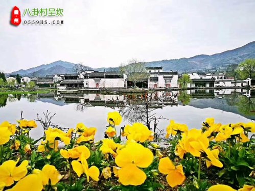高铁滁州到黄山三日游旅游团报价