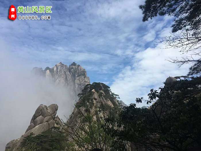 泰安到黄山三日游景点：黄山云海