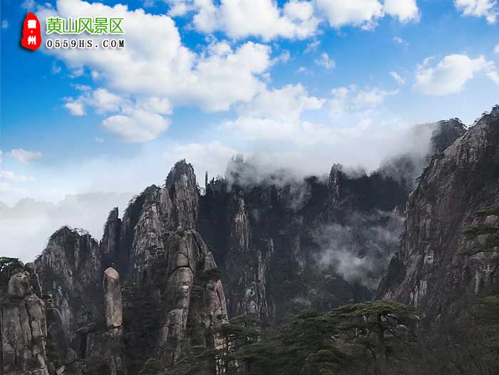 沈阳到黄山三日游景点：黄山风景区