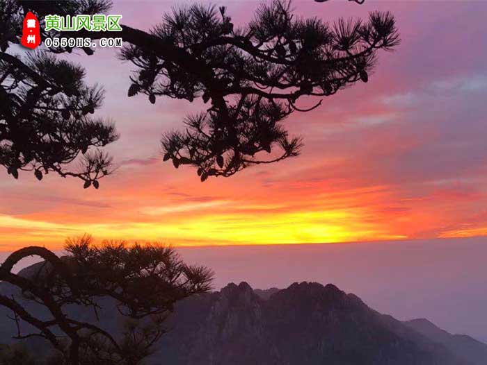 东莞到黄山三日游途中景点：黄山风景区