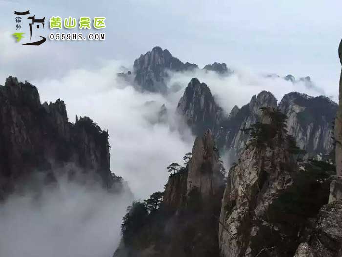 黄山翡翠谷西递宏村三日游：黄山风景区