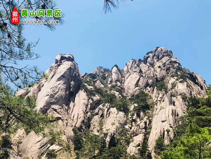 黄山千岛湖三日游景点：黄山风景区