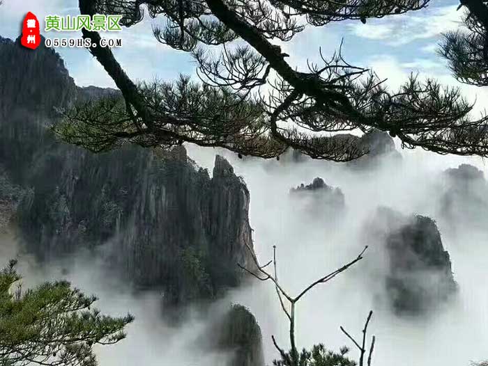 黄山二日游景点：黄山云海图