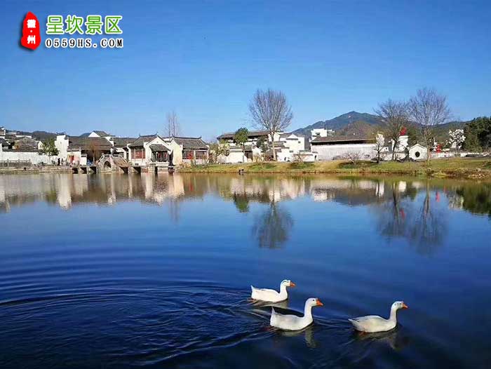 扬州到黄山三日游景点：呈坎景区