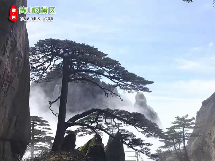 宁波到黄山三日游景点：黄山风景区