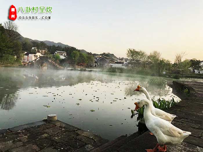 宁波到黄山三日游景点：呈坎