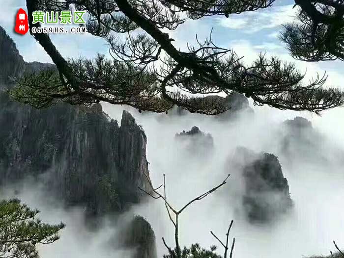 淮南到黄山三日游景点：黄山风景区