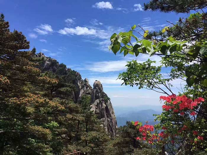 黄山西递宏村二日游景点：黄山风景区