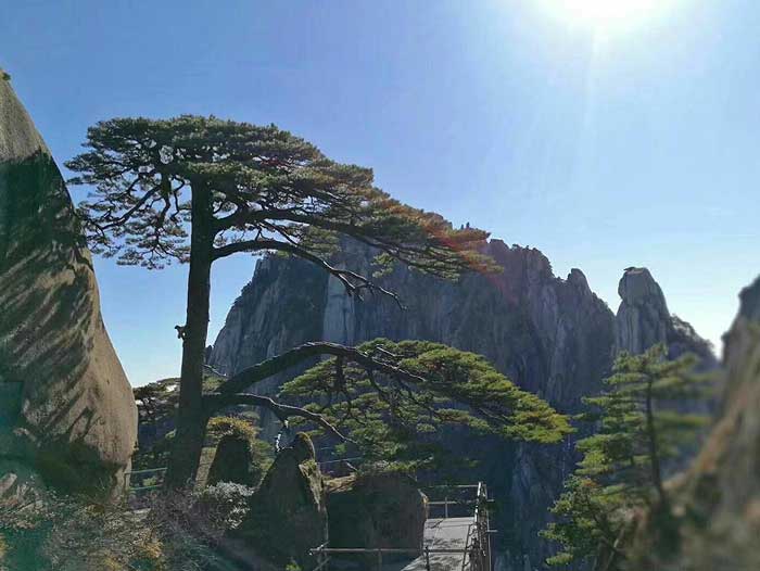 黄山四日游跟团景点：黄山风景区