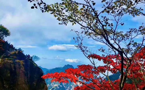 本地旅行社教您-怎么区分黄山市、黄山风景区、黄山区？